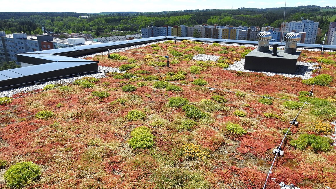 Zelená střecha Sezimák Zelená střecha Sezimák