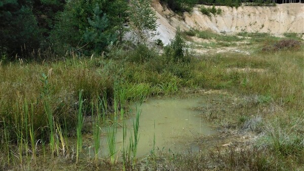 Pískovna Ledenice Pískovna Ledenice