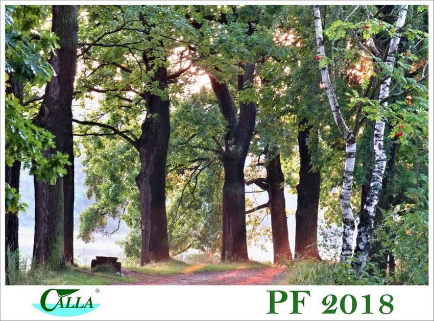PF 2018