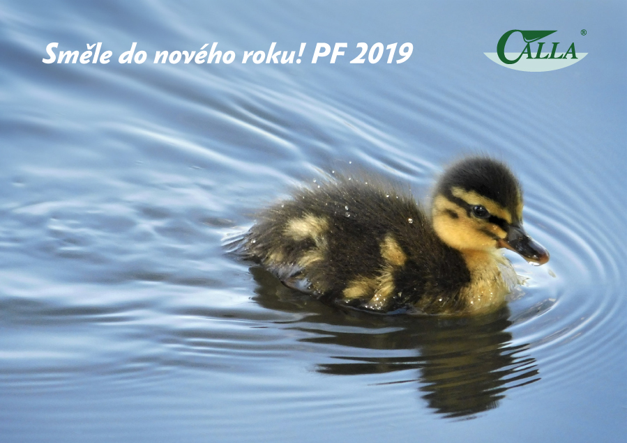 PF 2018