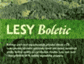 skládačka Lesy Boletic