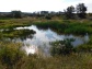 pískovna
