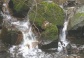 Jivno