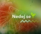 Nedej se