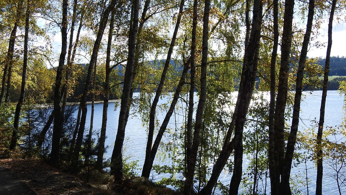 Břeh Lipna Břeh Lipna
